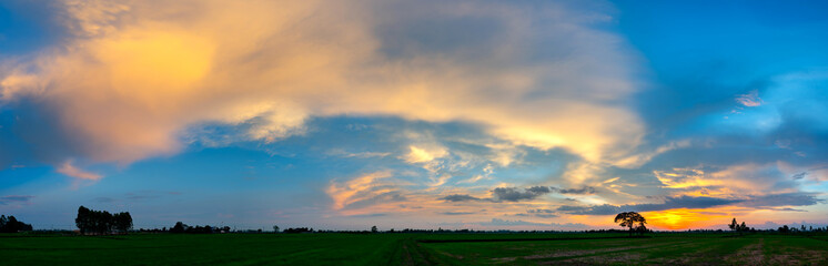 Obraz na płótnie Canvas Panorama beautiful sunset with dark cloud over rice field in Thailand.blue sky with clouds.Fiery orange sunset sky. Beautiful sky.Sunrise with cloud over rice field.