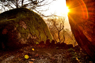 Sunset in leafy forest with colossal rock formations in Sanctuary of Penha in Guimaraes