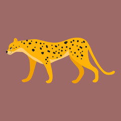 Cute leopard is a cartoon animal character. Vector illustration in a flat style, isolated on a dark background.
