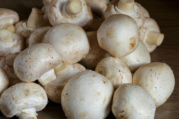 The fresh champignon mushrooms ready for cooking. A top view closeup of fresh mushrooms.