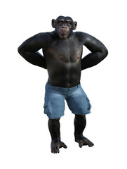 Illustration of a chimpanzee wearing shorts standing with both hands behind his back with a smile on his face