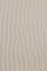 Fototapeta na wymiar Vertical Sand Dunes and Beach Texture Background