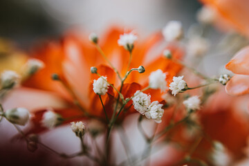 Springtime