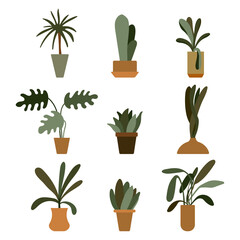 Fototapeta na wymiar Houseplants in pot vector cartoon set isolated on a white background.