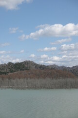 湖, 水, 風景, 空, 自然, 川, 雲, 森, いけ, 青, 木, 木, 雲, 山, とぶ, 全景, 緑, 魚釣り, 秋, サマータイム, 草, パノラマの, 海