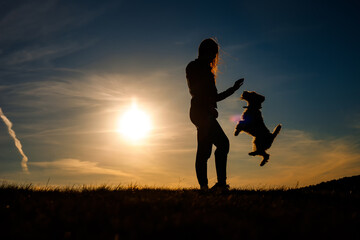 Silhouette of a woman playing with her schnauzer dog