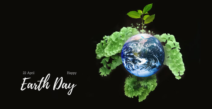 Earth day background for report and presentation with image of bright glow earth symbol with growth and freshness small tree on beautiful adiantum freshness fern.
