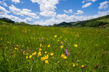 Steinach im Schwarzwald