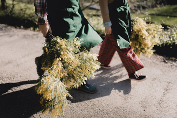 Farmers walking along a path with bunches of flowering branches