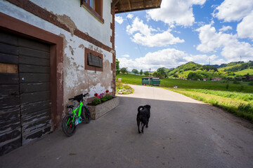 Steinach im Schwarzwald