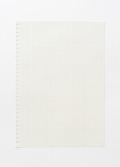 Empty graph paper background. White paper template for art, drawing, idea sketch and creative background.