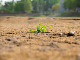 global warming Ground cracks