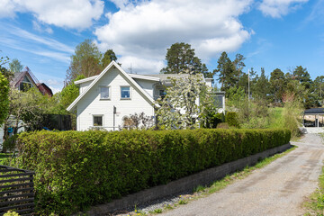 Old white wooden house villa cottage. Landscaping of the garden. Decorative green hedge wall of plants. Garden decorative trimmed shrubs or bushes on a flower bed are fenced below with stone masonry.
