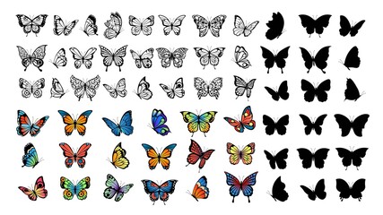Butterfly collection. Drawing butterflies, silhouette and color flying insects. Spring animals, wild meadow or forest characters vector set