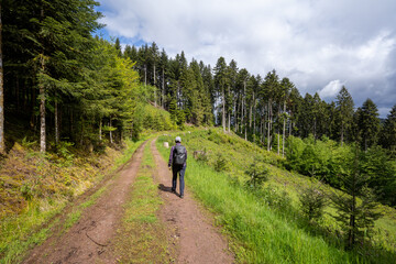 Steinach im Schwarzwald