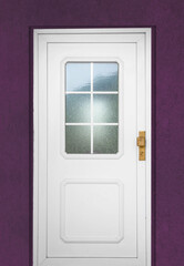 Front door PVC. White plastic door
