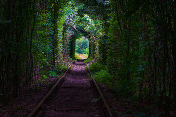 Obraz premium Love tunnel in summer