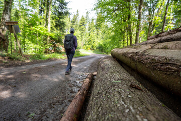 Obraz premium Steinach im Schwarzwald
