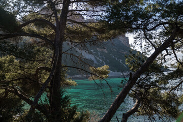 beach in the south of france 