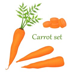 Carrot Set. Cartoon orange carrot isolated on a white background. Vector icons of fresh root vegetables.