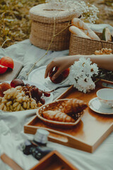 Woman's hand takes peach. Picnic still life