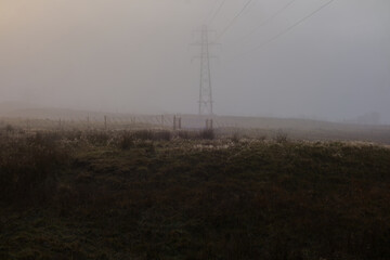 power lines in the fog