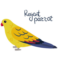 Obraz premium Regent parrot or rock pebbler in cartoon style on white background. Vector hand drawn illustration. Polytelis anthopeplus