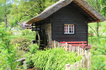 Fototapeta na wymiar Romantische Mühle im Schwarzwald/Black forest
