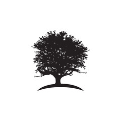 Oak tree logo design template