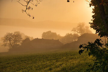 Blilck von Vezelay auf den Frühnebel im Morvan im Burgund