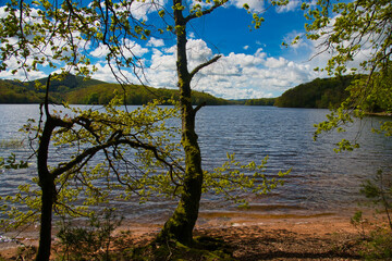Obraz premium Lac de Chaumenon im Morvan im Burgund