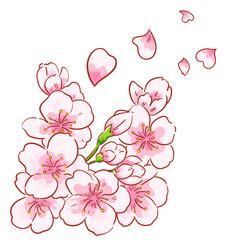 Branch of sakura flowers hand drawn cartoon art illustration Vector