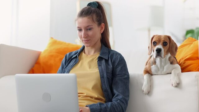 Woman working with laptop and sits on couch with dog at apartment room spbi.