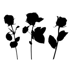 Rose flower black silhouette set, vector illustration. Blooming garden flower for greeting card, invitation, poster.