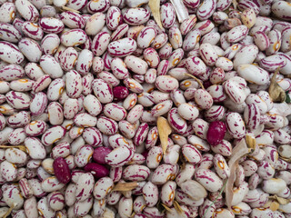 Bunch of common beans, healthy diet rich in protein, carbohydrates and fiber