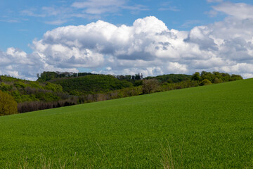 green meadow, hills in the background