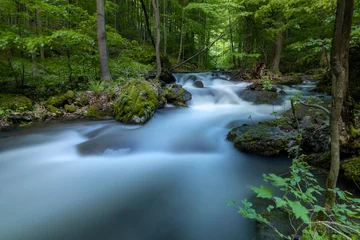 Selbstklebende Fototapete Waldfluss Wasserfall-Kaskaden. Langzeitbelichtungsbild eines wilden Waldflusses in der Slowakei.