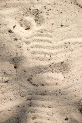 footprint in the sand