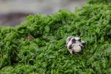 a set of my all photo was taken by me