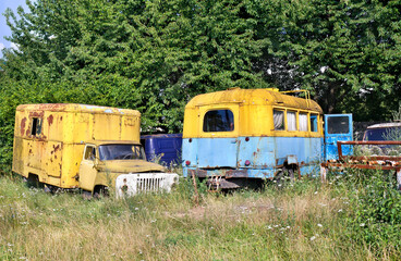 Rusty old vintage cars and bus at car cemetery in wild nature