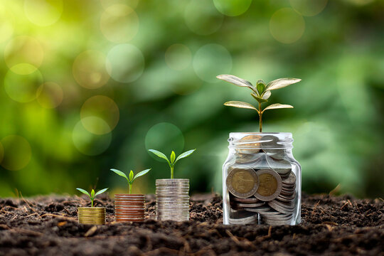 Small plants growing on piles of money and coin bottles on soil business and investment growth ideas.