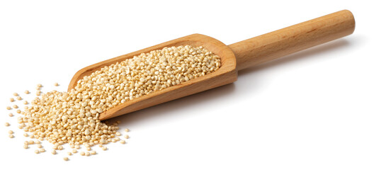 raw white quinoa in the wooden scoop, isolated on white background