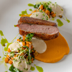 Roasted duck meal closeup 