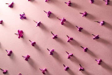 Naklejka premium Lilac flowers pattern on pink background