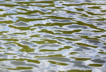 ripples in water