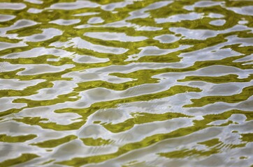 rippling the water on the surface of the lake
