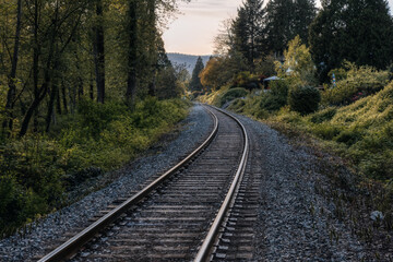 Fototapeta na wymiar Railroad Tracks surrounded by green trees in a modern suburban city. Taken in Port Moody, Vancouver, British Columbia, Canada. Moody render.