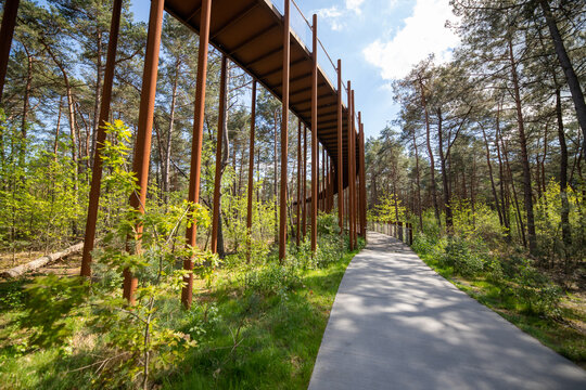 Bike in the trees in Lommel Belgium Flanders