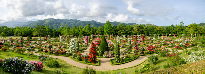 静岡県賀茂郡河津町の河津バガテル公園です。フランス式庭園の特徴である左右対称の幾何学模様が一望できます。
