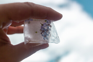 a piece of ice with flowers in his hand against the sky